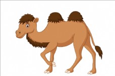 儿童卡通骆驼