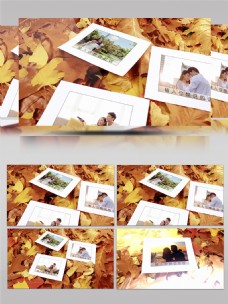 铺满了金黄落叶的秋色记忆AE相册模板