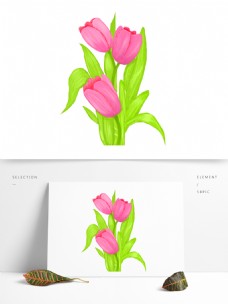 植物手绘郁金香花朵