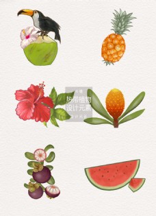 热带水果热带植物水果设计元素
