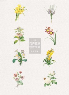 牡丹8款怀旧感手绘花卉植物插画矢量素材