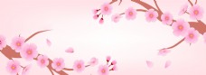 粉色花卉节日背景素材