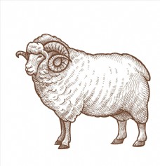 黑羊图片免费下载,黑羊设计素材大全,黑羊模板下载,黑羊图库-图行天下