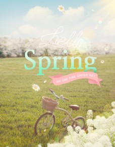 春天气息鲜花海报