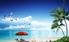 蓝天白云草地海滩椰子树背景墙