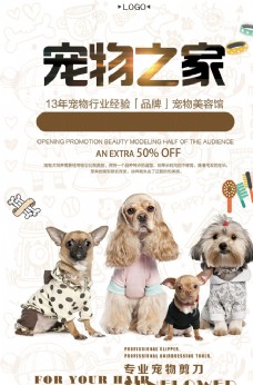 家犬宠物店海报
