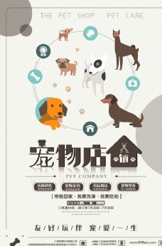 宠物猪宠物店海报
