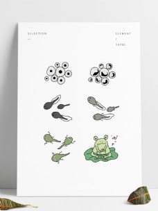可爱卡通萌系青蛙蝌蚪生长过程图可商用元素