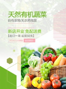 蔬菜蚕豆果蔬超市海报