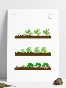 玫瑰南瓜草莓三种植物卡通生长过程套图