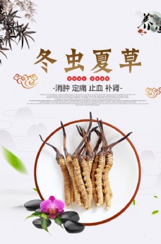 中国风养生冬虫夏草展板设计