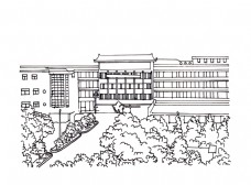 建筑场景手绘黑白线条建筑植物场景学校