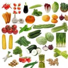 绿色蔬菜蔬菜瓜果矢量素材