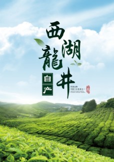 龙门大道龙井茶海报