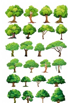 树木