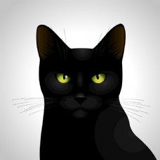 黑猫 动物 矢量 EPS 可爱