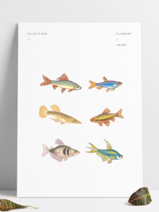 海洋鱼矢量鱼手绘海洋动物元素