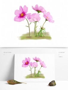 原创手绘格桑花花朵可商用设计元素