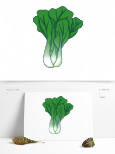 手绘绿色蔬菜插画可商用