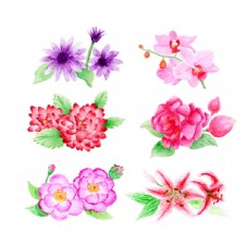 彩绘春季花卉矢量素材