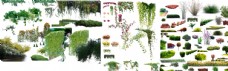 分层素材PSD分图层植物素材