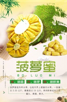 进口蔬果菠萝蜜海报