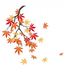 矢量图枫叶树上飘落的叶子