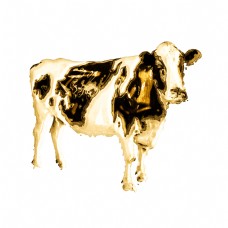 黄金元素金牛雕像贴图