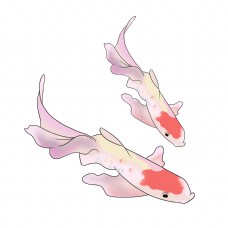 手绘粉色的鲤鱼插画
