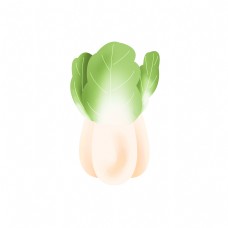 绿色蔬菜手绘蔬菜白菜插画