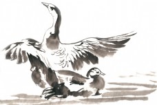 河边的鸟水墨画PNG免抠素材