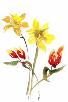 黄色花卉水彩画PNG免抠素材