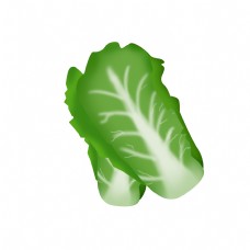 绿色蔬菜手绘蔬菜白菜插画