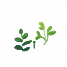 小清新绿色手绘植物