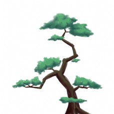 手绘的水彩松树插画