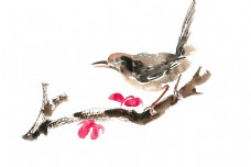 树枝上的小鸟水彩画PNG免抠素材