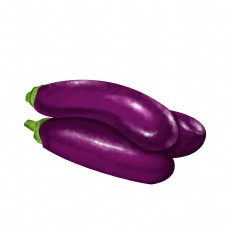 紫色茄子蔬果茄瓜素材食材手绘写实免扣