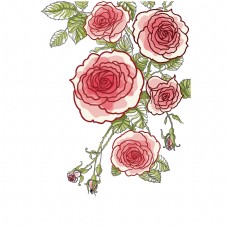 七夕情人节美丽的玫瑰花