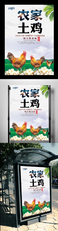 大自然农家土鸡宣传海报