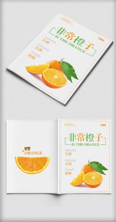 非常橙子水果画册设计