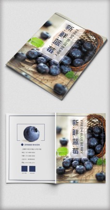 新鲜蓝莓画册封面设计