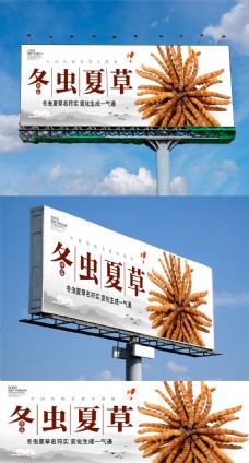 中国风设计中国风创意冬虫夏草户外展板设计