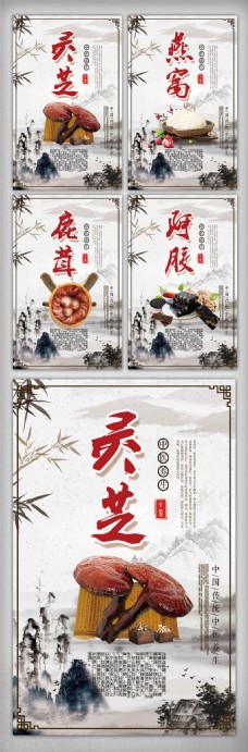 中国药材中国风中医药材知识宣传挂画设计
