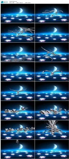 中国风荷塘月色仙鹤飞舞视频素材