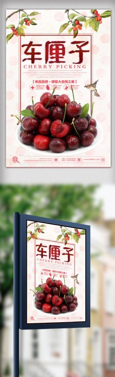樱桃进口车厘子美食宣传海报模板