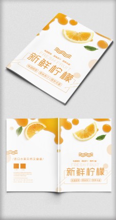 清新时尚柠檬水果画册封面