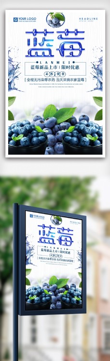 新鲜水果蓝莓海报.psd