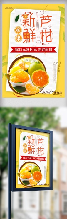 小清新新鲜芦柑水果海报设计
