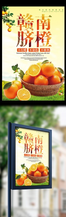 板报2017时尚大气赣南脐橙水果海报设计模板