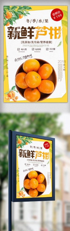 水果新鲜芦柑海报